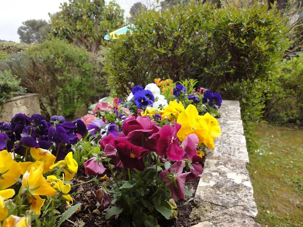 Holiday home Le Mas Des Gardettes Saint-Paul-de-Vence France