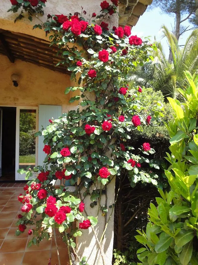 Le Mas Des Gardettes Saint-Paul-de-Vence Holiday home